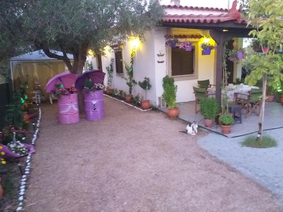 Kastro-Kyllini Killini Cottage Studio The Small Cyclades מראה חיצוני תמונה