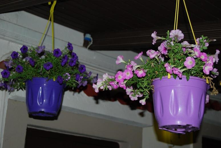 Kastro-Kyllini Killini Cottage Studio The Small Cyclades מראה חיצוני תמונה